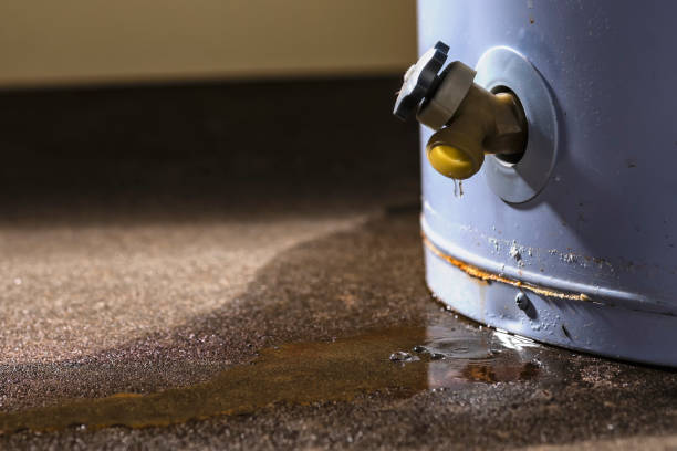 Best Local water damage restoration  in Clifton, IL