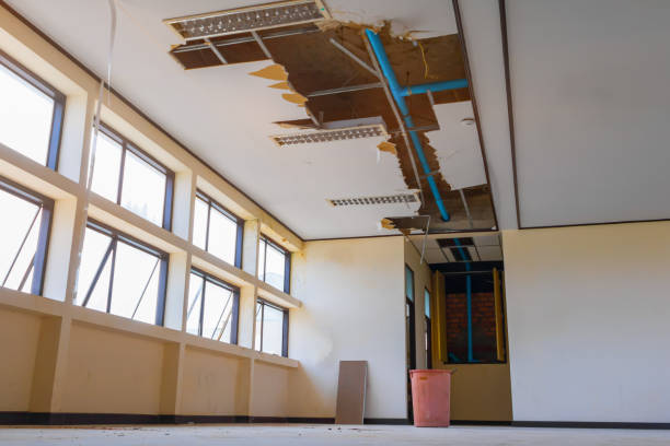Best Water damage restoration near me  in Clifton, IL
