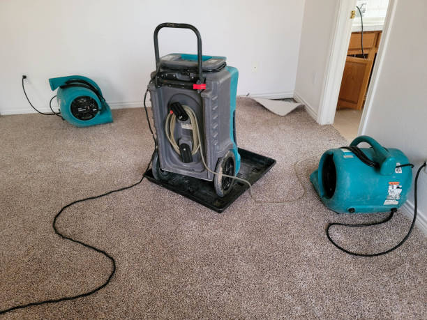 Best Water damage restoration mold remediation  in Clifton, IL