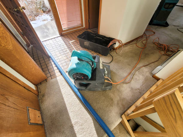 Best Water damage cleanup near me  in Clifton, IL