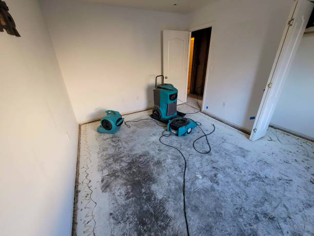 Best Emergency water damage restoration  in Clifton, IL