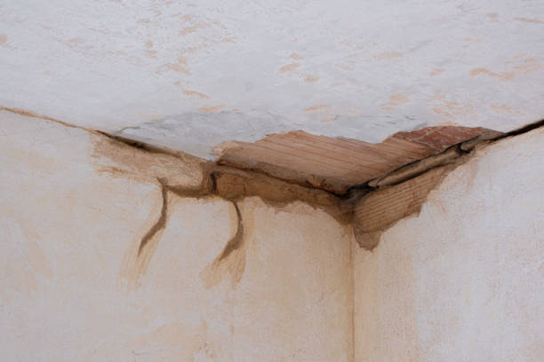 Best Water damage restoration near me  in Clifton, IL