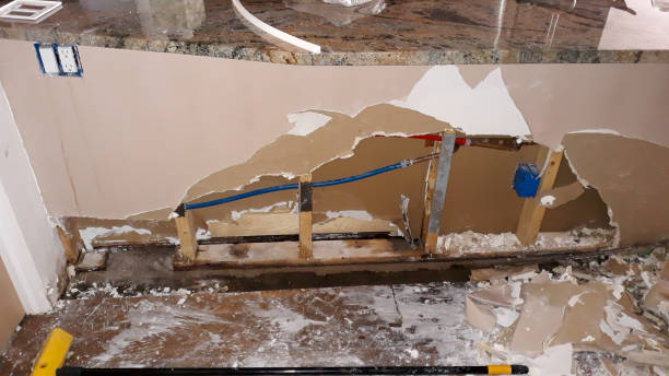 Best Water damage contractors near me  in Clifton, IL