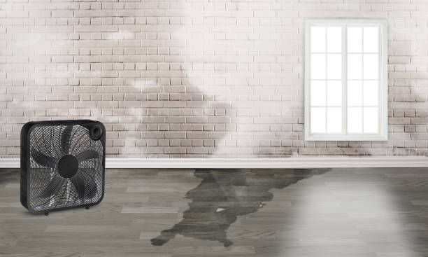 Best Fire Damage Restoration  in Clifton, IL