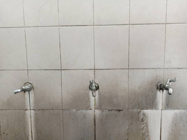 Best Emergency water damage restoration  in Clifton, IL