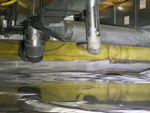 Best Commercial water damage restoration  in Clifton, IL