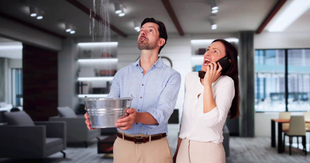 Best Water damage restoration company  in Clifton, IL
