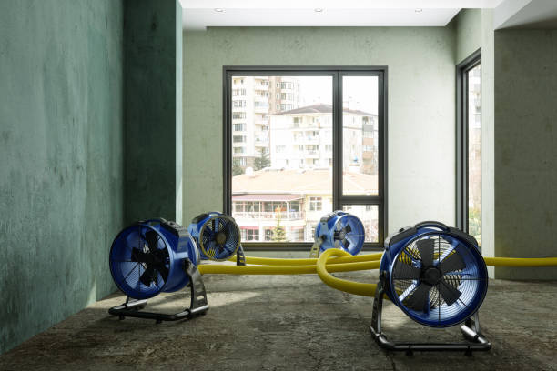 Best Mold removal after water damage  in Clifton, IL