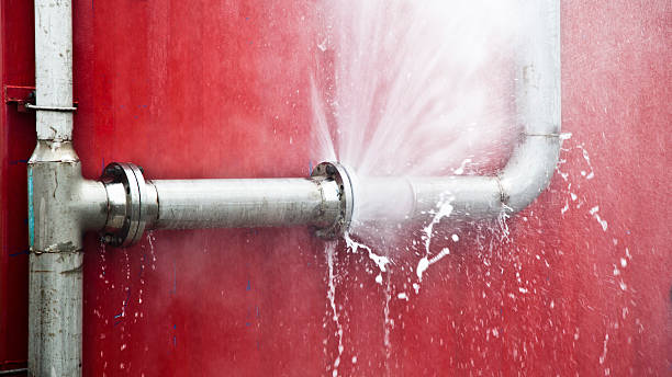 Best Water damage cleanup near me  in Clifton, IL
