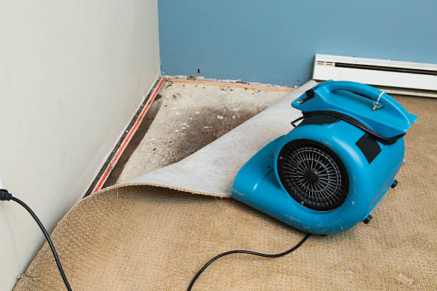 Best Commercial water damage restoration  in Clifton, IL